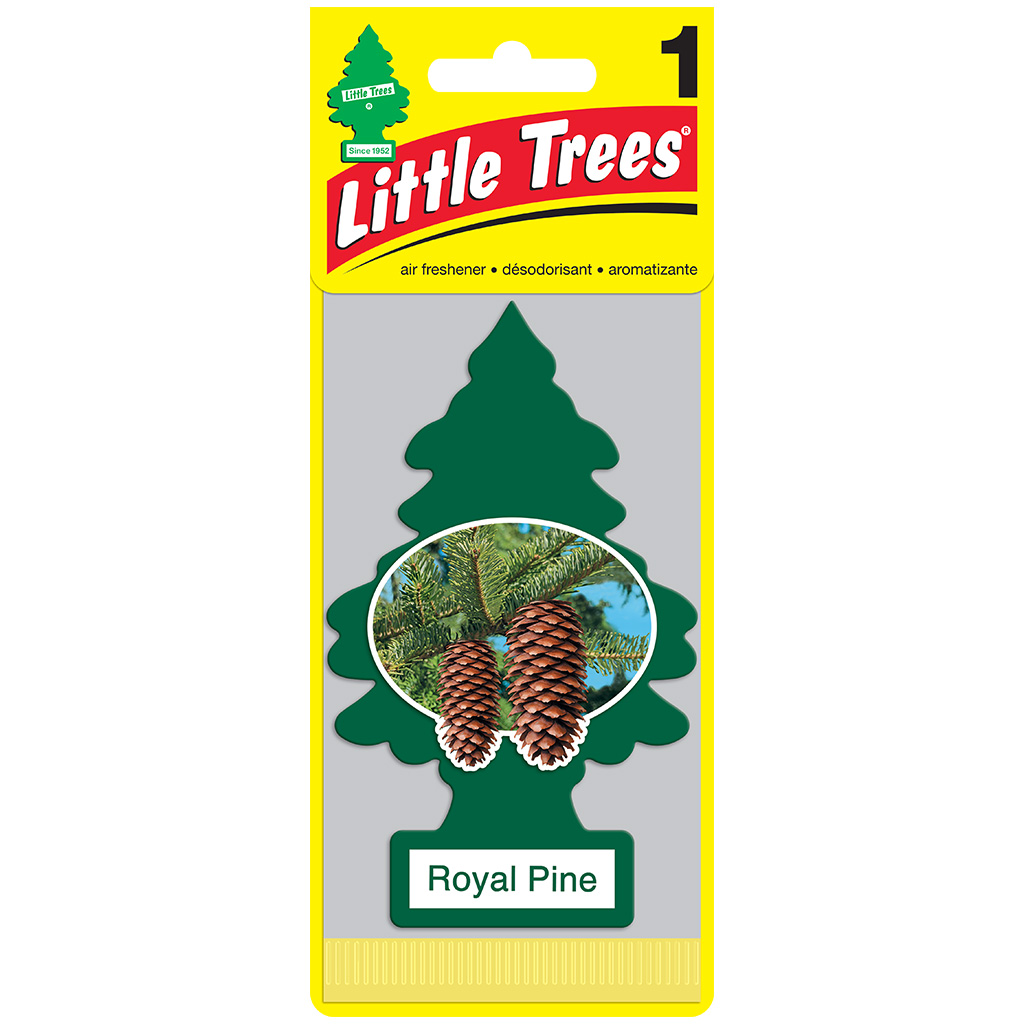 Little Tree Air Freshener  - Royal Pine CASE PACK 24