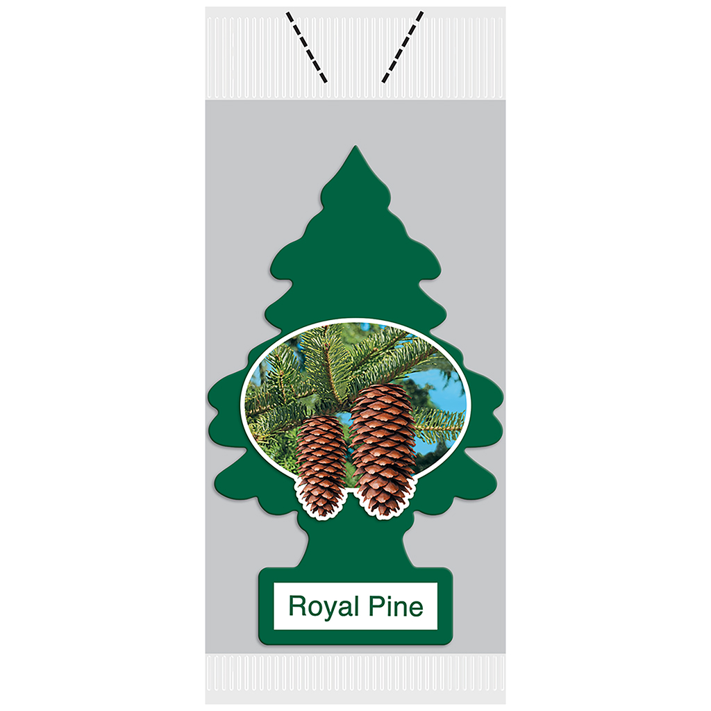 Little Tree Vending Air Freshener 72 Piece - Royal Pine