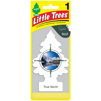 Little Tree Air Freshener  - True North CASE PACK 24