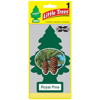 Little Tree Extra Strength Air Freshener  - Royal Pine CASE PACK 24