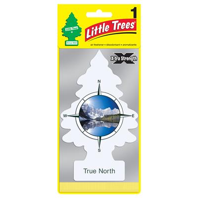 Little Tree Extra Strength Air Freshener  - True North CASE PACK 24