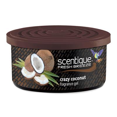 Scentique Natural Gel Can Air Freshener -Coconut CASE PACK 12