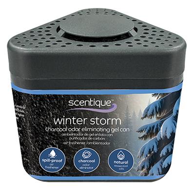 Scentique Odor Eliminating Charcoal Gel Air Freshener - Winter Storm CASE PACK 4