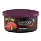 Scentique Natural Gel Can Air Freshener -Cherry CASE PACK 12