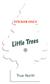 Little Tree Decal True North - Sticker Only